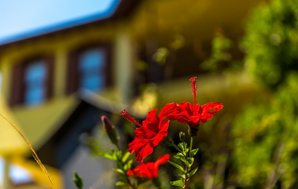 Marmaris Holiday Villas Екстер'єр фото