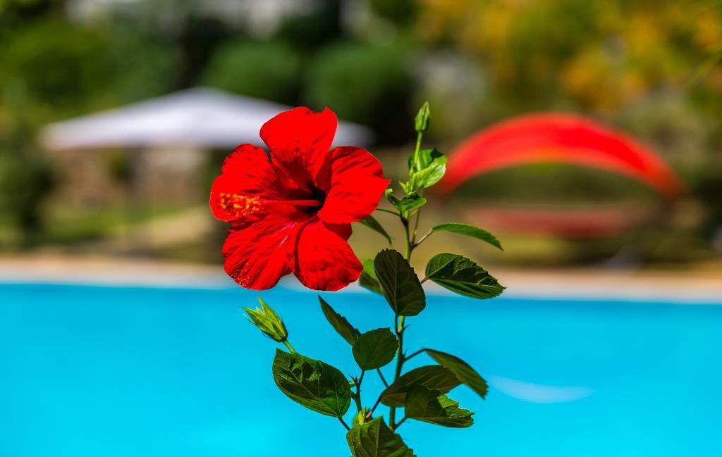 Marmaris Holiday Villas Екстер'єр фото